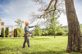 Seasonal Cleanup (Spring/Fall) in Asheville, NC